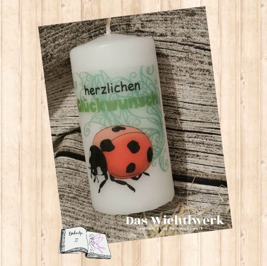 Digiset Marienkäfer Sublimation, Digistamp, Digipaper - Sewando