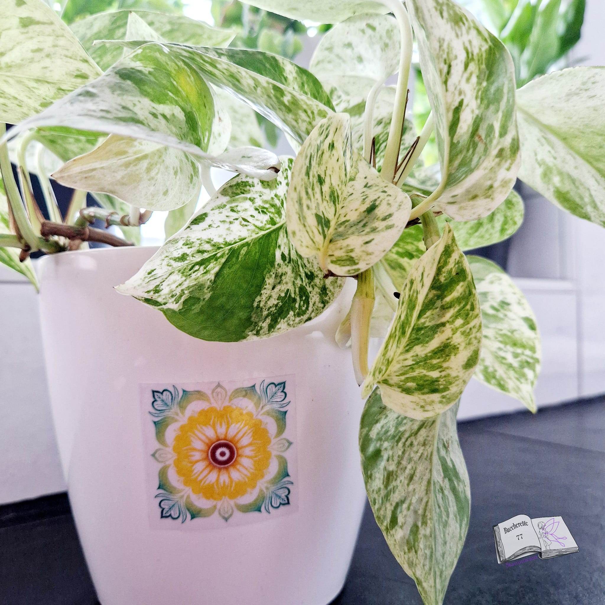 Plotterdatei Sonnenblumenmandala, Sublimation, Digistamp, Digipaper - Sewando