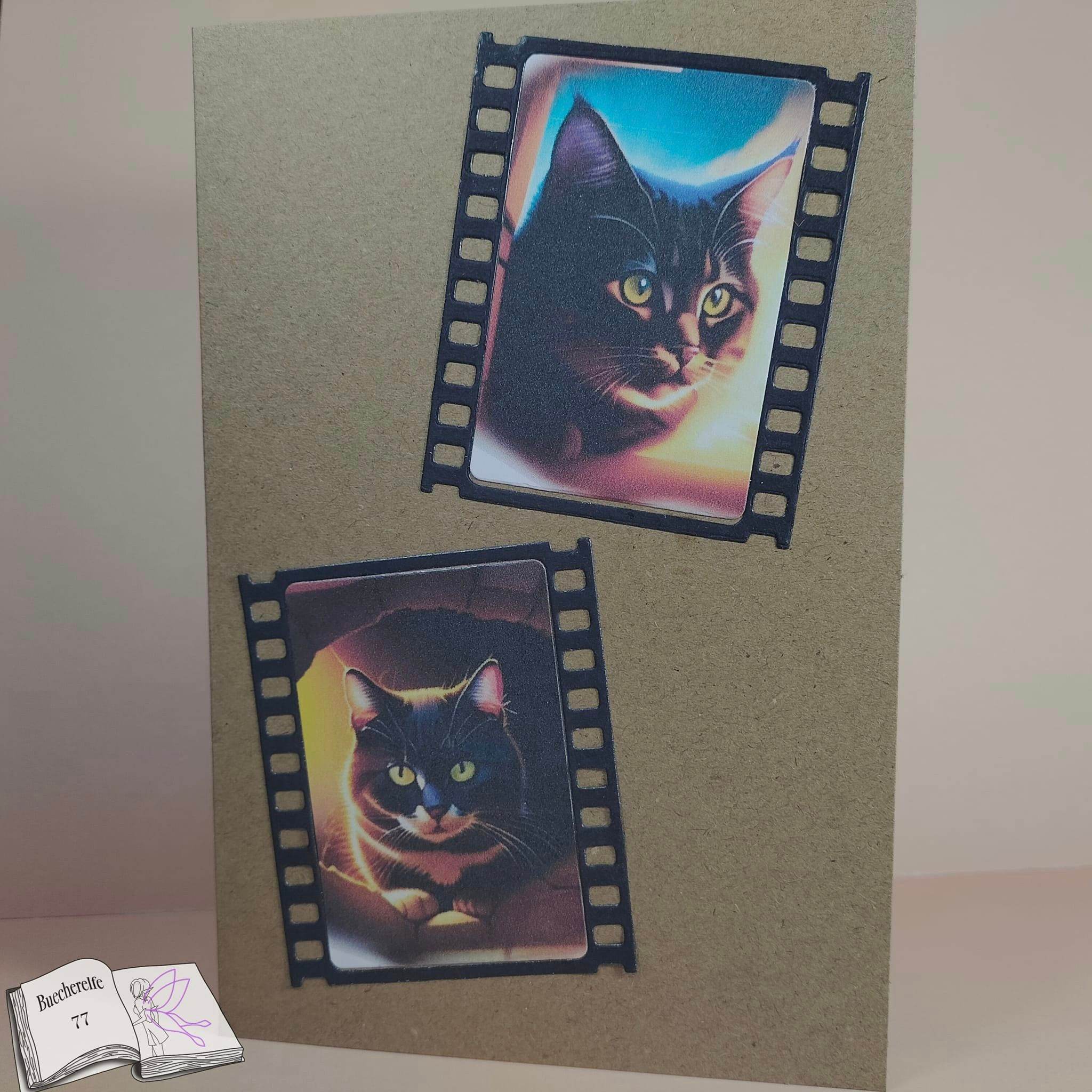 Digipapier crazy cats Digistamp, Sublimation - Sewando