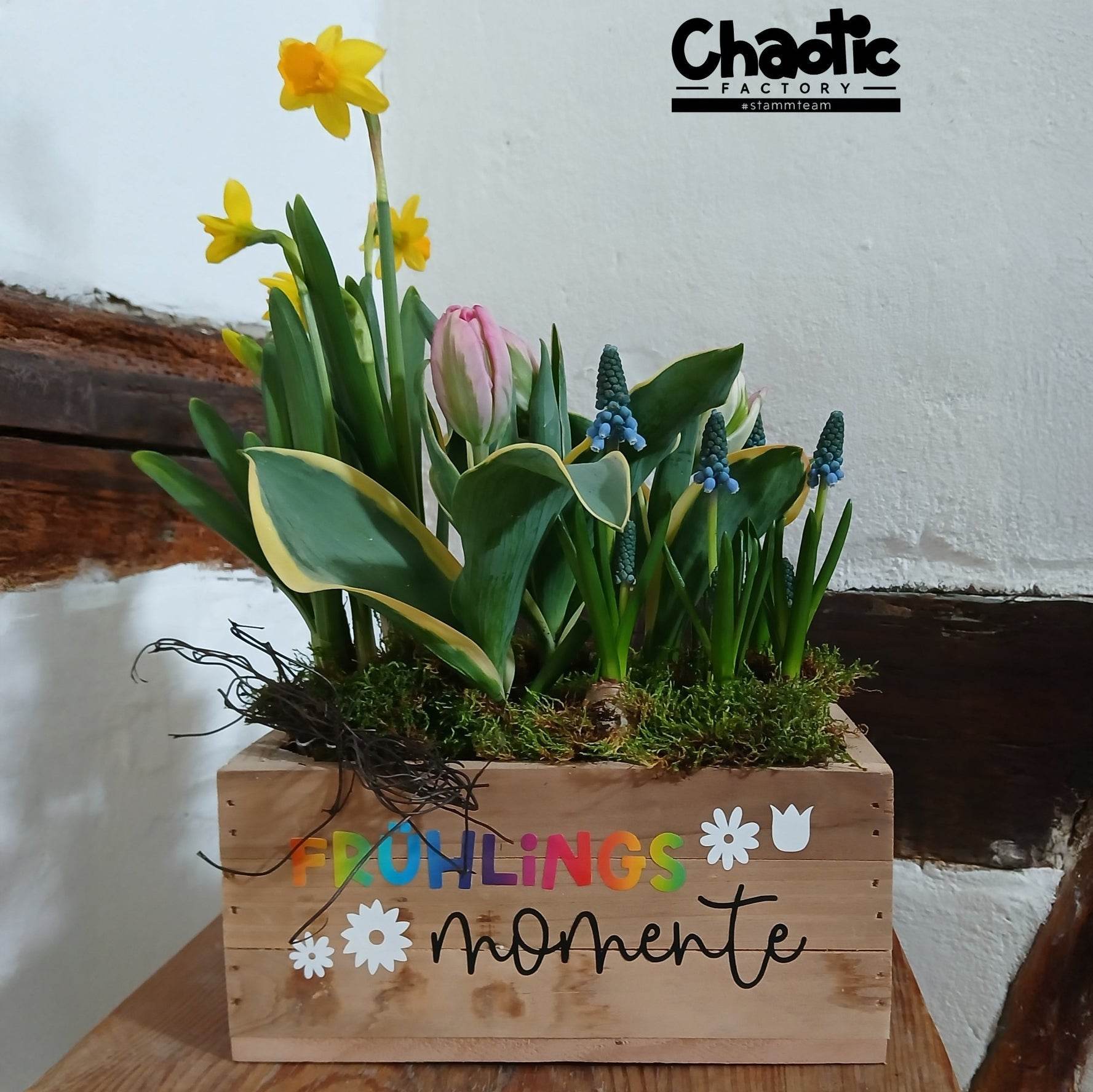 Plotterdatei Hallo Frühling! - Sewando