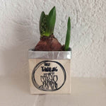 Hallo Frühling | SVG, DXF & PNG Plotterdatei, Laserdatei - Sewando