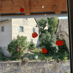 Kürbisse | SVG, DXF & PNG Plotterdatei, Laserdatei - Sewando