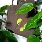 Monstera | SVG, DXF, PNG Plotterdatei, Laserdatei - Sewando