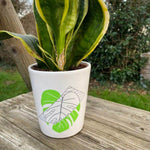 Monstera | SVG, DXF, PNG Plotterdatei, Laserdatei - Sewando