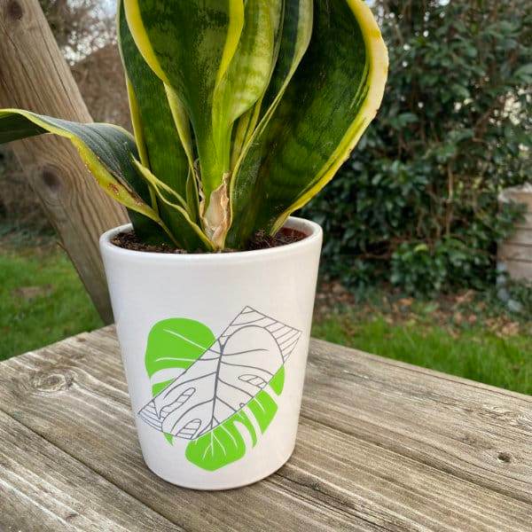 Monstera | SVG, DXF, PNG Plotterdatei, Laserdatei - Sewando