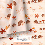 Nahtloses Muster | Regenbär Igelchen | 20x20cm, Stoffdesign - Sewando