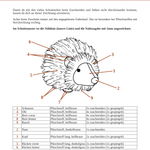 Igel Dexter - PDF Schnittmuster und Nähanleitung - 13cm - Sewando