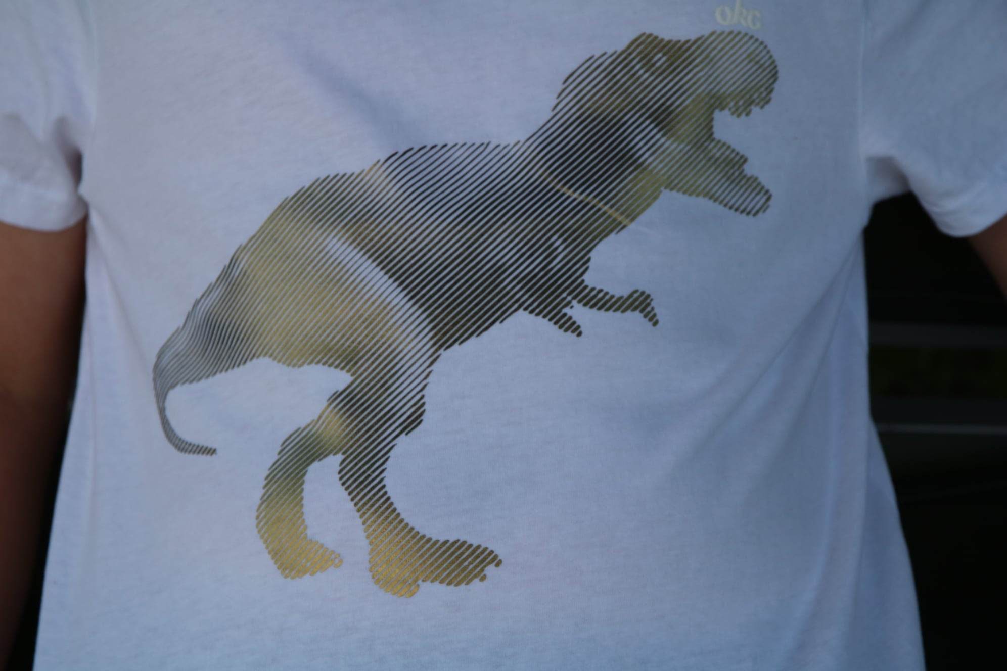 LINE-REX der 1 Folien Illusions Foto- Plotter und Laser-Datei als SVG und DXF - Sewando