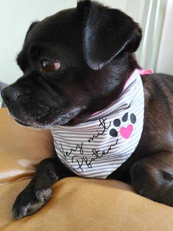 Plotterdatei DOGLOVE - HUNDELIEBE - Mega Deko - Hund Hundedeko SVG DXF PLOTT - Sewando