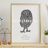Eulen Baby Eule LineArt 1 farb Foto Illusions- Plotter und Laser-Datei als SVG und DXF - Sewando