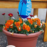 Palme Mit "Sommer" Schriftzug Plotterdatei