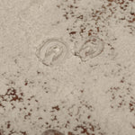 Laserdatei Wichtel Box Tierisch - Sewando