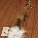 Laserdatei Wichtel Box Tierisch - Sewando