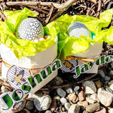 Plotterdatei - Dinosaurier - Dino - cool - SVG - DXF - PNG - Jpeg - Kreis - Datei - Triceratops - T-Rex - Pteranodon - Sewando