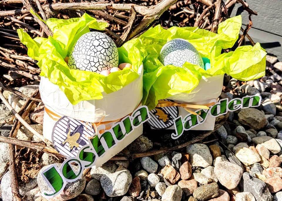 Plotterdatei - Dinosaurier - Dino - cool - SVG - DXF - PNG - Jpeg - Kreis - Datei - Triceratops - T-Rex - Pteranodon - Sewando