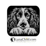NEU Stickdatei Springer Spaniel "Ignazius" - realistisch - FÜR DUNKLE STOFFE