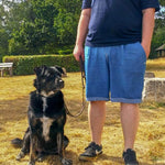 FYN.hose | Herren | 44-62 | Schnitt : - Sewando