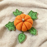 Stickdatei Herbst Kürbis und Blätter Set 26147