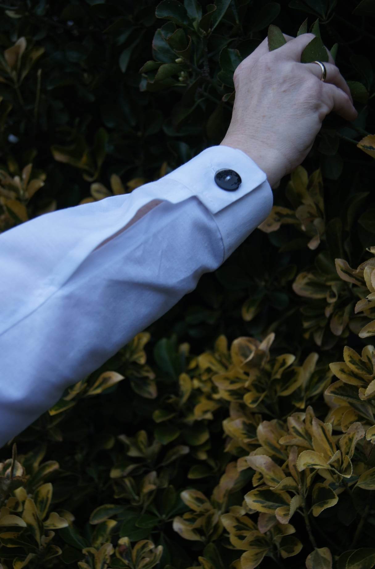 Schnittmuster Hemdbluse LIVORNO Gr. 32-48 : - Sewando