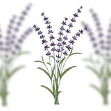 Stickdatei Lavendel, inkl. Schriftzug im Satinstich, Rahmen 13x18 cm (3.60 x 6.49'') - Sewando