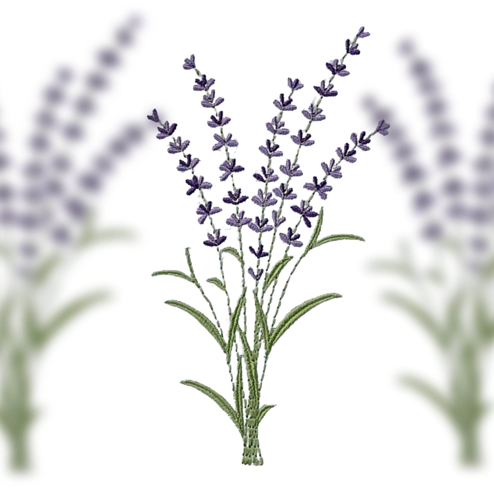 Stickdatei Lavendel, inkl. Schriftzug im Satinstich, Rahmen 13x18 cm (3.60 x 6.49'') - Sewando