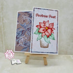 Digiset Weihnachtsstern Plotten, Sublimation, Drucken - Sewando