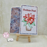 Digiset Weihnachtsstern Plotten, Sublimation, Drucken - Sewando