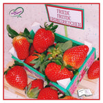 Digiset Erdbeere, Digistamp, Digipaper, Plotterdatei, Sublimation, Druck - Sewando