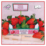 Digiset Erdbeere, Digistamp, Digipaper, Plotterdatei, Sublimation, Druck - Sewando