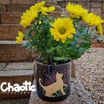 Plotterdatei Spring Kitty - Sewando