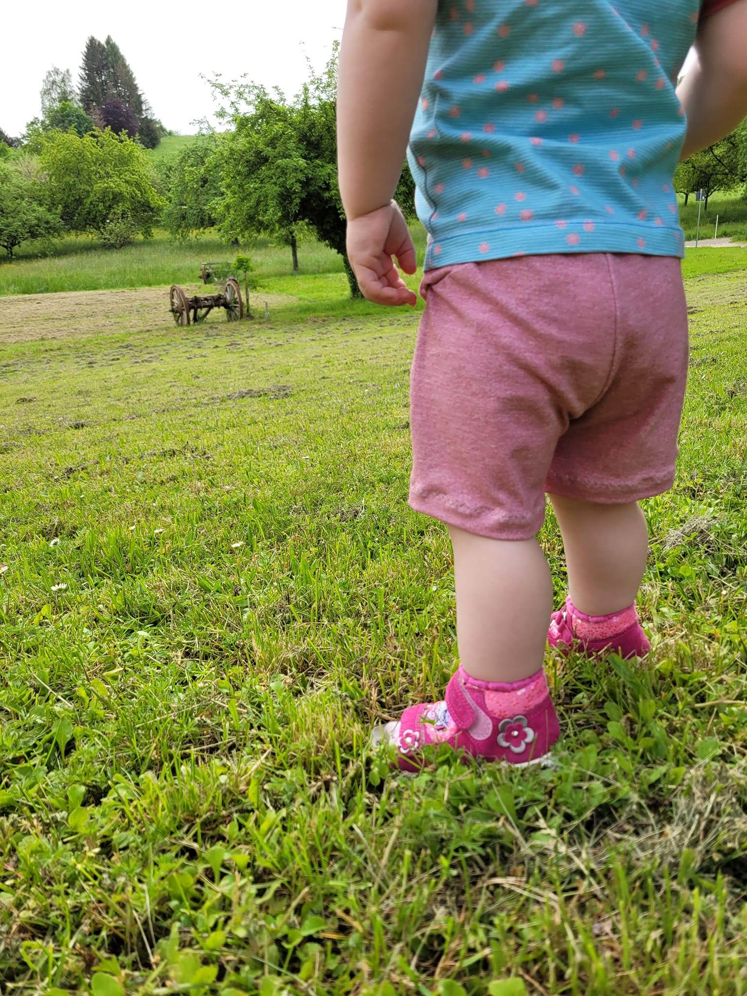 Schnittmuster Sommerhose Shorts für Kinder Amora Gr. 74-122 - Sewando