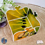 Digiset Kiwi, Plotten, Sublimation, Drucken, Digistamp, Digipaper - Sewando