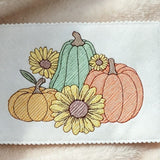 Stickdatei Herbst Kürbis  Set1 -  26138c