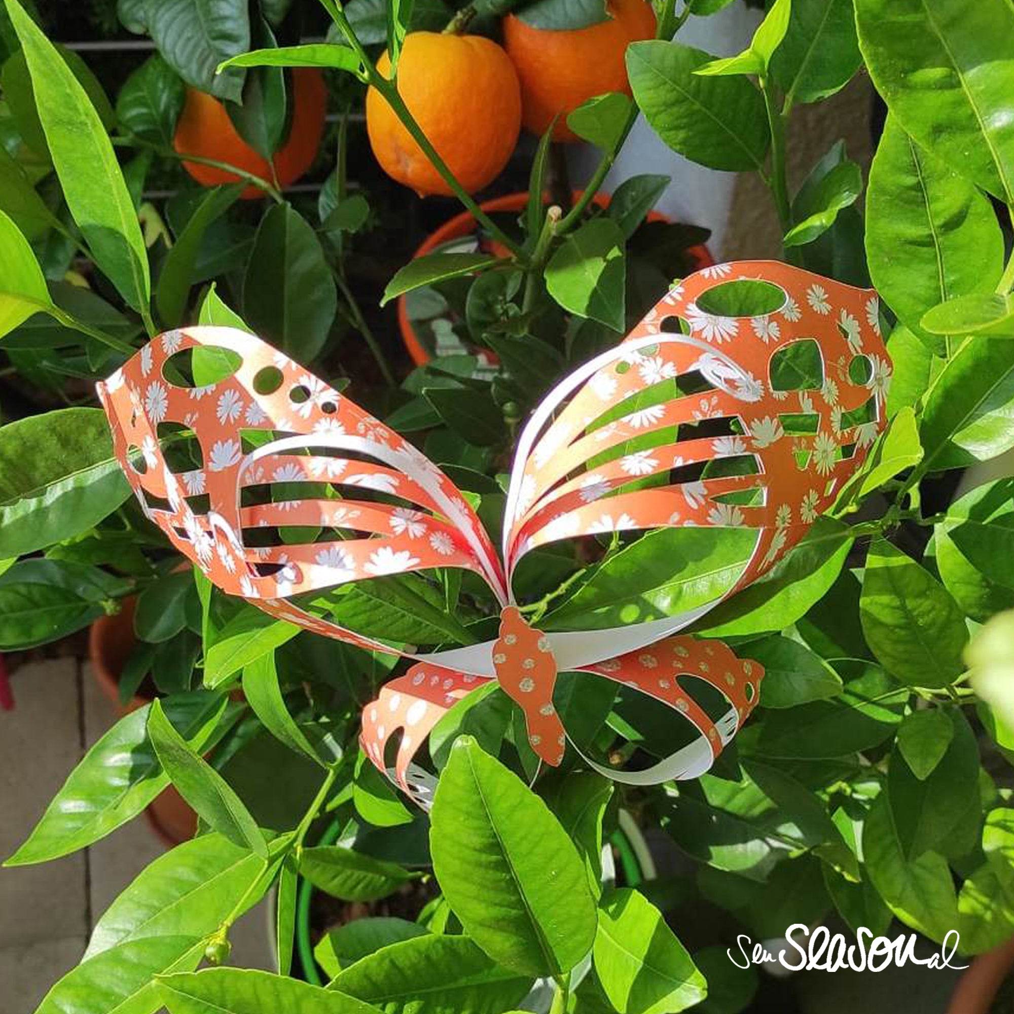 Plotterdatei 3D-Schmetterling - plotten mit Papier, basteln - Sewando