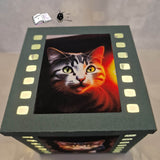 Digipapier crazy cats Digistamp, Sublimation - Sewando