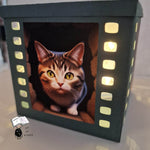 Digipapier crazy cats Digistamp, Sublimation - Sewando