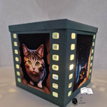 Digipapier crazy cats Digistamp, Sublimation - Sewando