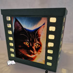 Digipapier crazy cats Digistamp, Sublimation - Sewando
