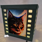 Digipapier crazy cats Digistamp, Sublimation - Sewando