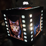 Digipapier crazy cats Digistamp, Sublimation - Sewando