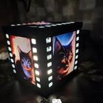 Digipapier crazy cats Digistamp, Sublimation - Sewando
