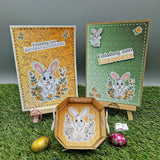 Digiset Frühlingshasi, Plotten, Sublimation, Drucken, Digistamp - Sewando