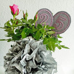 13x Stickdatei Ballons mit Zahlen ITH - Sewando