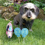 13x Stickdatei Ballons mit Zahlen ITH - Sewando
