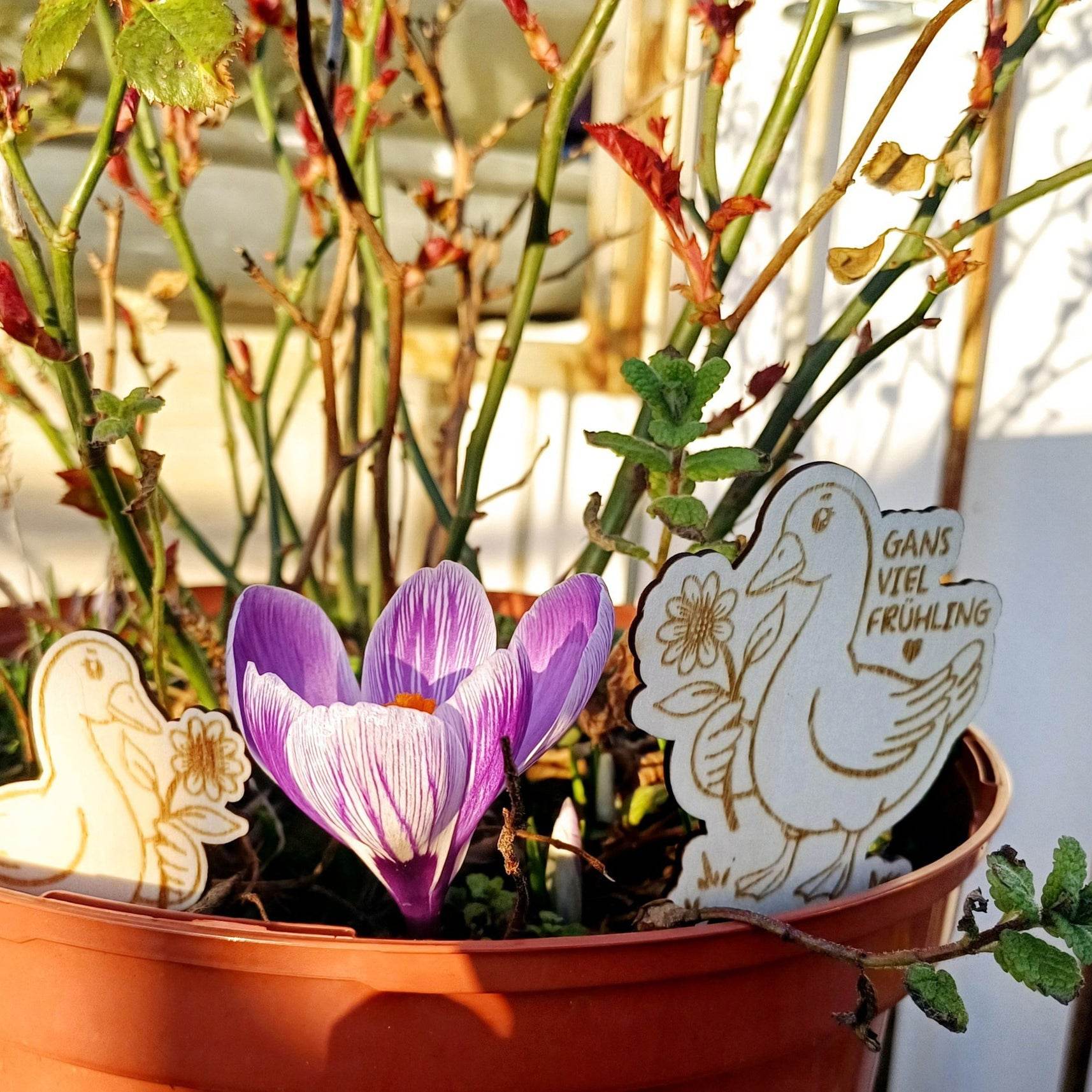 Plotterdatei Gans viel Frühling - Sewando