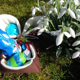 Eierkoerbchen Osterkoerbchen Hase nähen - Sewando