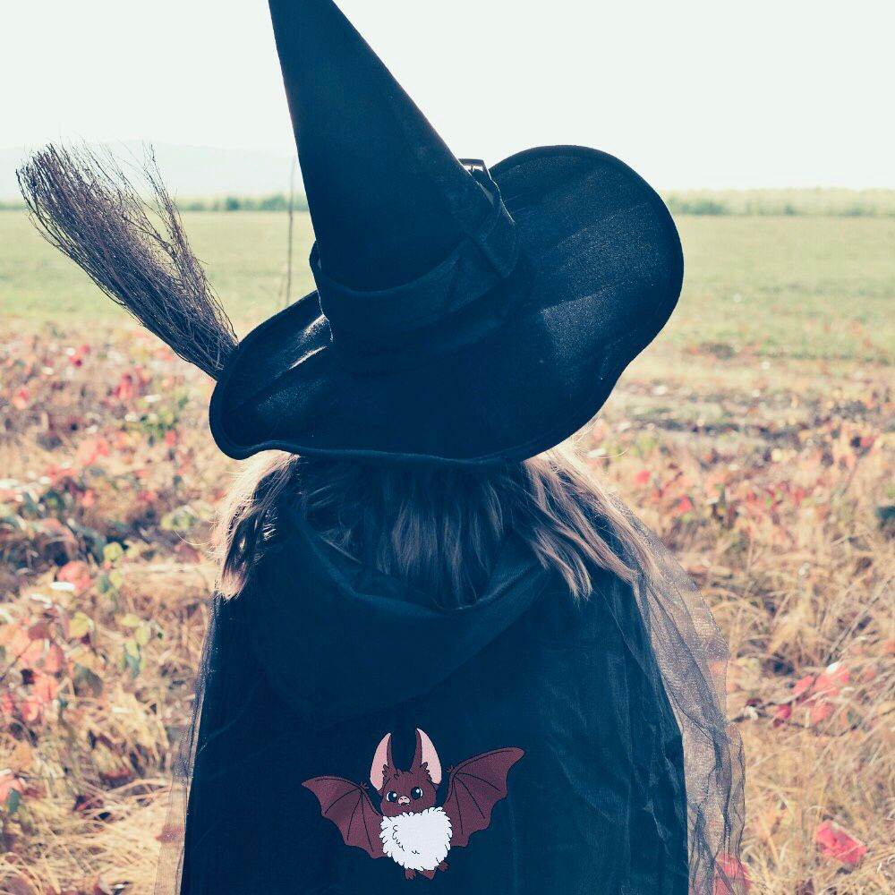 Stickdatei süße Fledermaus mit Kulleraugen – verspieltes Motiv für Herbst & Halloween - Sewando
