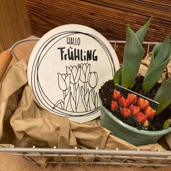 Hallo Frühling | SVG, DXF & PNG Plotterdatei, Laserdatei - Sewando