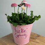Hello Spring | SVG, DXF & PNG Plotterdatei, Laserdatei - Sewando