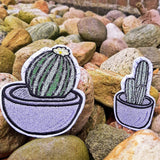 Stickdatei "Kaktus / Kakteen" 10x10 cm Rahmen